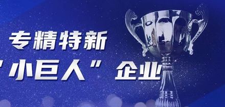 喜报｜慧盾安全荣获国家级专精特新“小巨人”企业称号